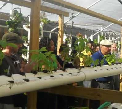 2011 Florida Aquaponics Spring Tour- Sahib’s Aquaponic Garden-Display