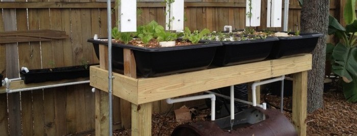 Sahib Aquaponics Hybrid Urban Growing Systems: Update on “The Zero Lot / Backyard Gardener” System