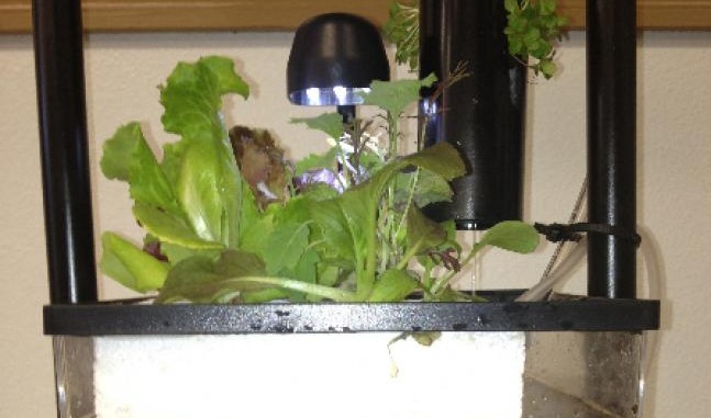 Aquaponics Hybrid Urban Growing Systems by Sahib Aquaponics:  “Nano” System