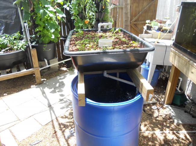 Additional Media Beds at Sahib Aquaponics Research Farm